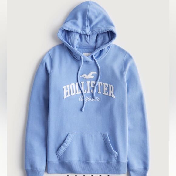 HOLLISTER EASY APPLIQUE LOGO GRAPHIC HOODIE LIGHT BLUE NWT - Picture 1 of 8